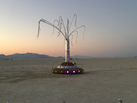 Portland Winter Light Festival!